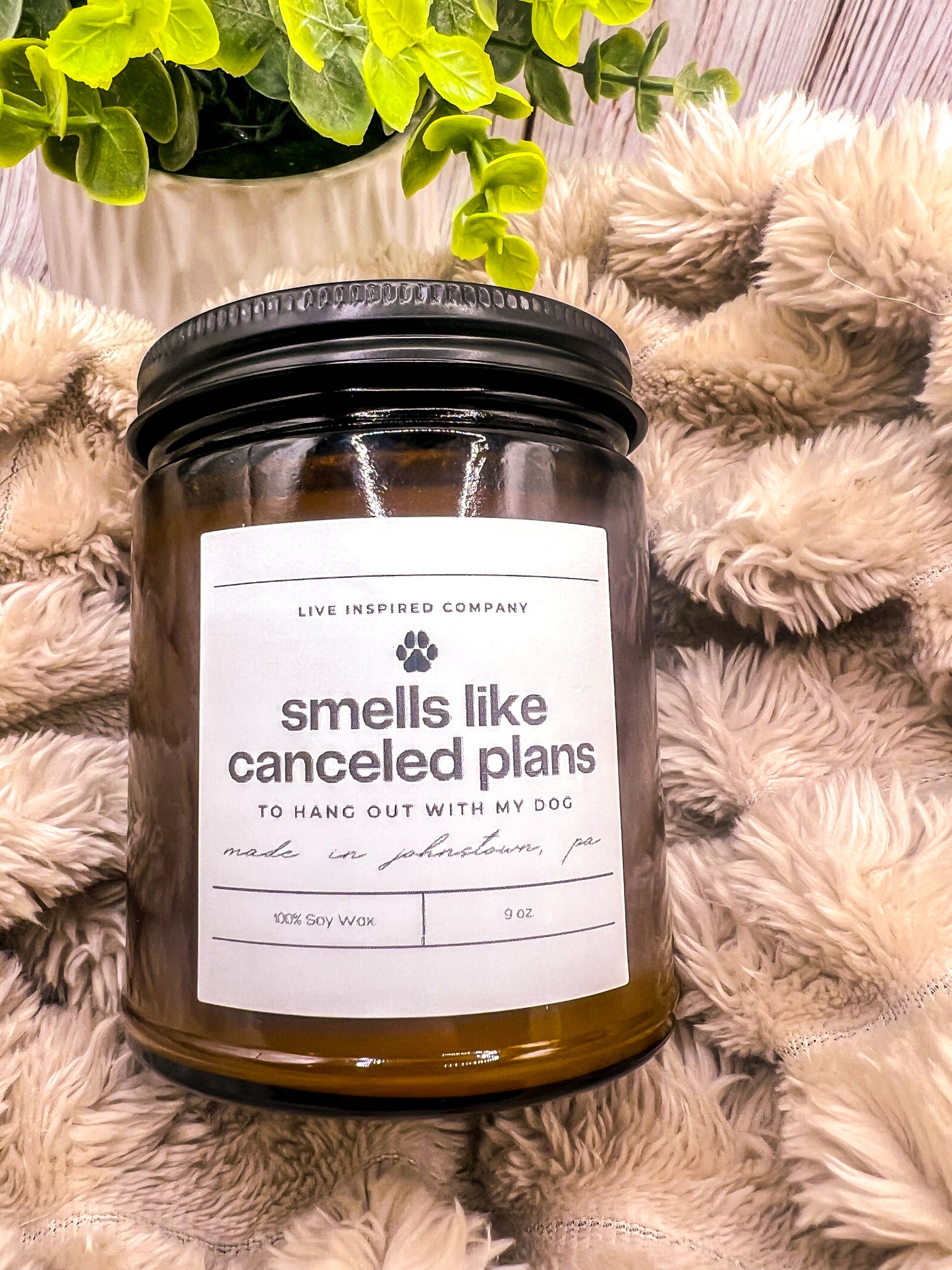 Smells Like Canceled Plans (for the Dog)